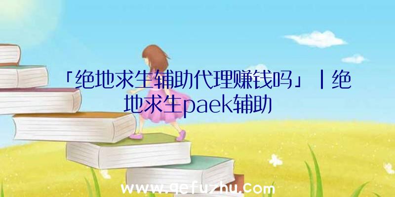 「绝地求生辅助代理赚钱吗」|绝地求生paek辅助